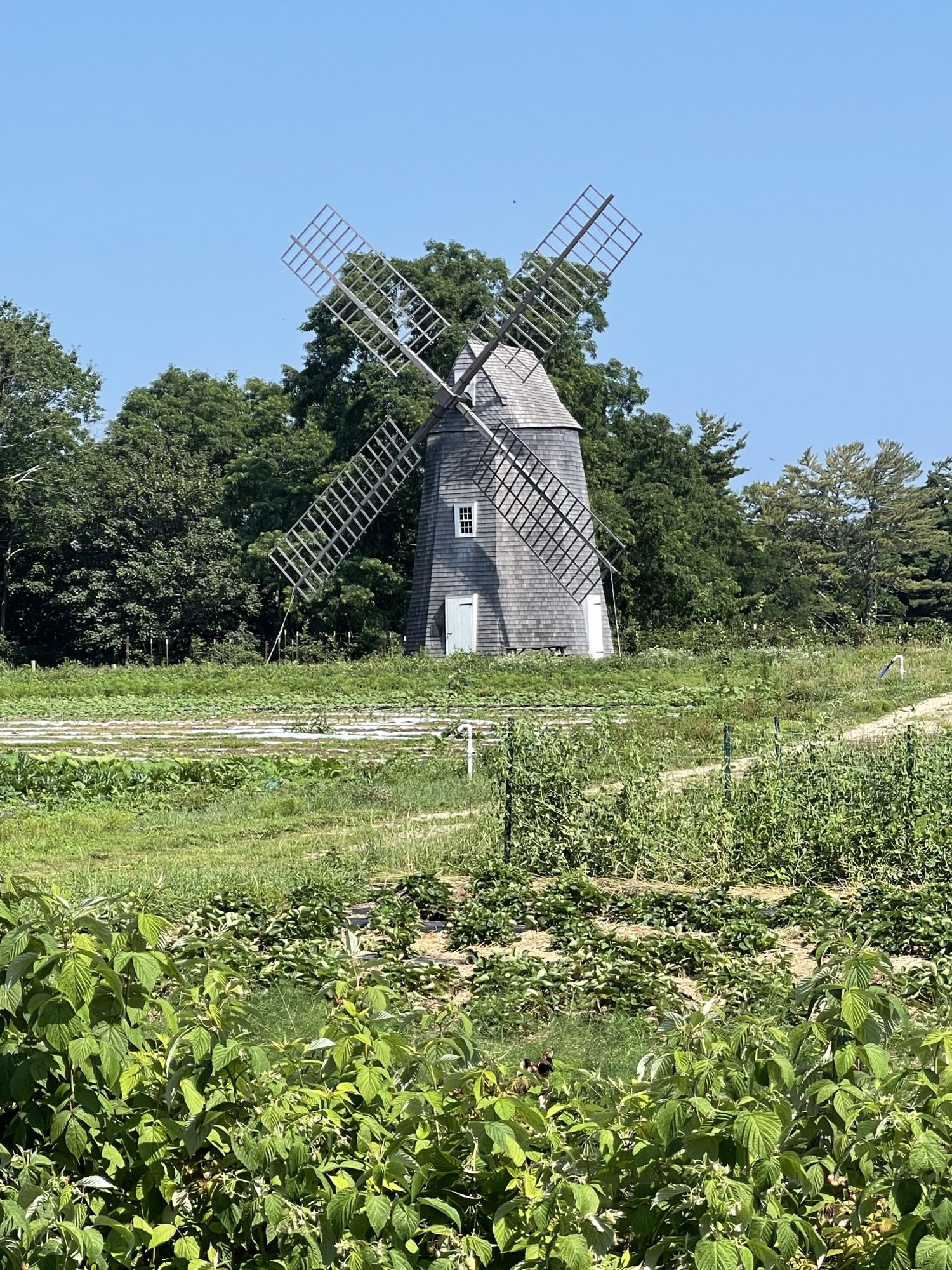 Island farm country